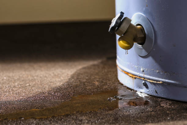Best Professional water damage repair  in Rio Pinar, FL