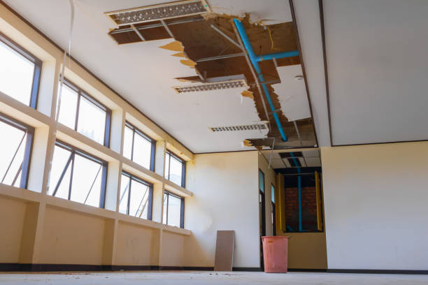 Best Water damage restoration process  in Rio Pinar, FL
