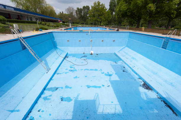 Best Mold removal after water damage  in Rio Pinar, FL