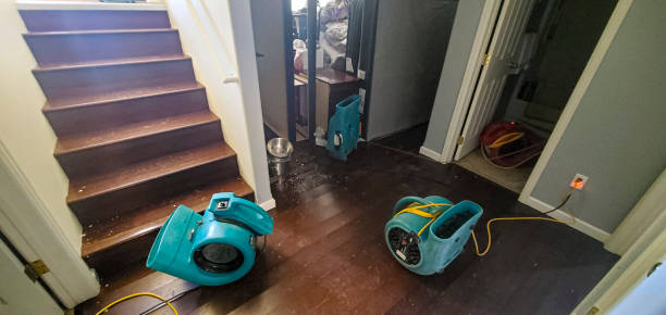 Best 24/7 water damage repair  in Rio Pinar, FL