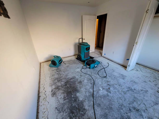 Best Local water damage restoration  in Rio Pinar, FL