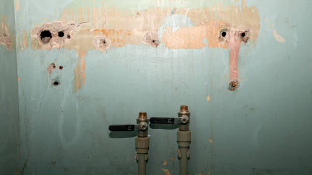 Best Water damage cleanup near me  in Rio Pinar, FL