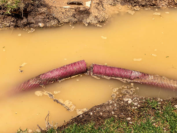 Best Emergency water damage restoration  in Rio Pinar, FL