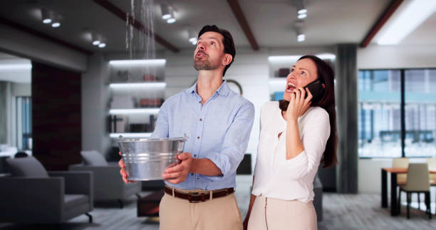 Best 24-hour water damage restoration  in Rio Pinar, FL