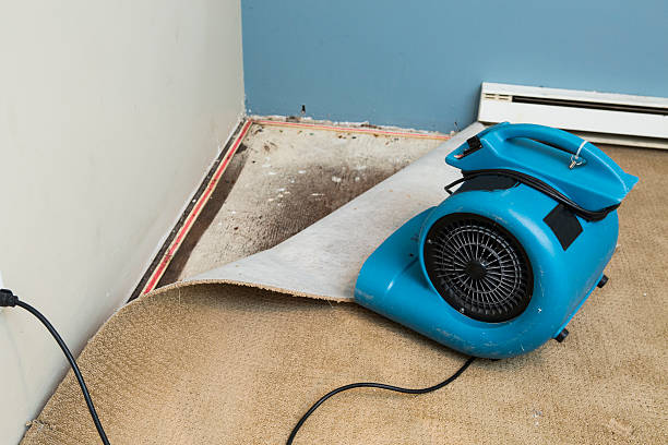 Best Water damage restoration near me  in Rio Pinar, FL